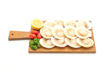 fresh shell scallop