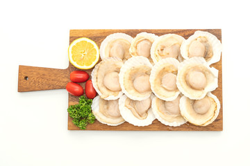 fresh shell scallop
