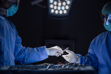 Close-up of gloved hands holding surgical tool.Surgery team operating in a surgical room.