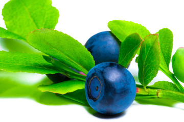 Blueberries with leaves isolated on white background