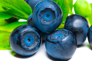 Blueberries with leaves isolated on white background