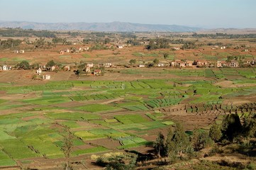 Fototapeta premium Madagascar