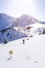 Fototapeta na wymiar Skitourengeher in den Alpen