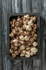 top view of raw champignon mushrooms in box on wooden surface