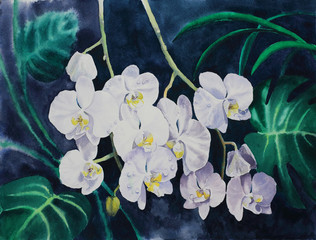 White orchid flowers watercolor painting
