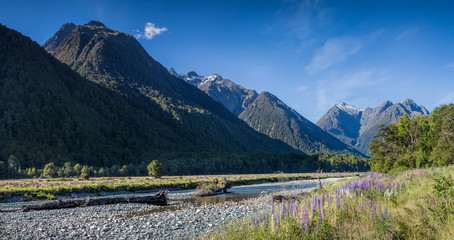 Stunning scenery near Milford Sound, South Island, New Zealand © Michael Evans