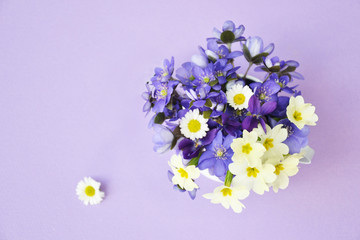 Bouquet of small blue spring flowers