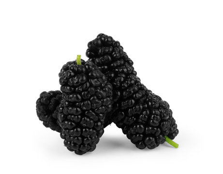 Mulberry berry with leaf isolated on white background