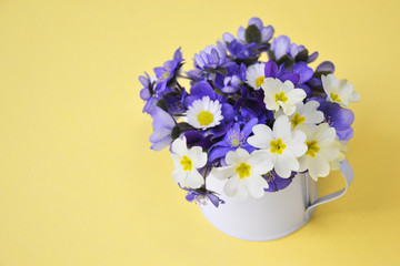 Bouquet of small blue spring flowers