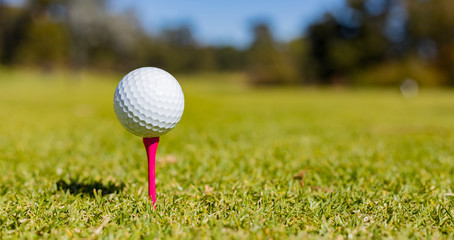 Golf Ball on a Tee at a Golf Course