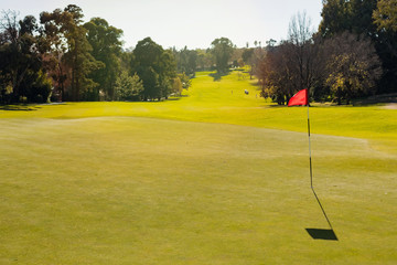 Obraz premium Golf Course putting green hole with flag