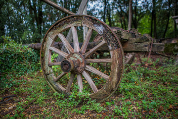 Fototapeta na wymiar Old wheel 