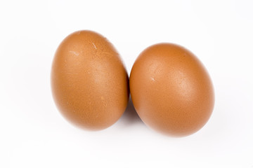 Chicken Eggs