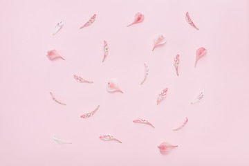 Flower petals on a pink background. Gentle spring background