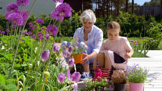 gardening, family and people concept - happy grandmother and granddaughter planting flowers at summer garden