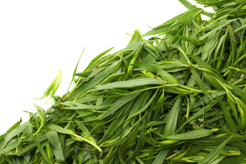 Tarragon leaves ( Artemisia dracunculus ) isolated on white background