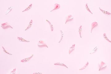 Flower petals on a pink background. Gentle spring background
