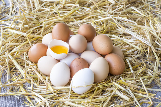 Chicken Eggs