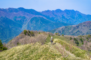 Fototapeta na wymiar 高知県の山