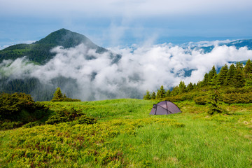 Tent on the green mountain meadow