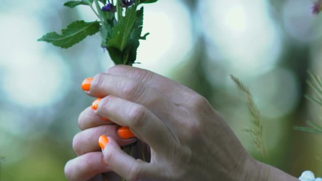 Slow Motion, Close-up, Hands of Young Girl with Painted Nails Hold Field Flowers