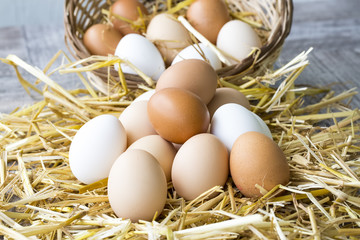 Chicken eggs