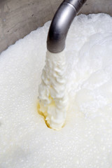 Process Of Filling The Milk Storage Tank  In Modern Dairy Closeup