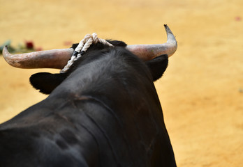 toro español