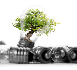Light Bulbs Concept
