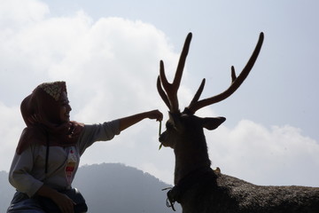 A girl interacts with a deer captured low angle creating silhouette.
