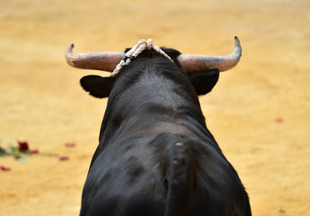 toro español