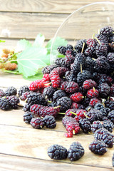 mulberry in a glass