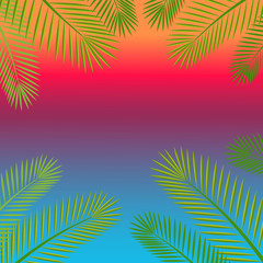branches and leaves of palm tree  background with space for text.