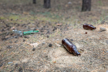 Glass bottles and waste thrown in pinewood. . Environmental pollution. Garbage in the forest. Harmful nature damage