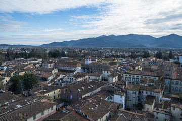 Viewpoint on the top of Torre Guinigi, Lucca, Italy