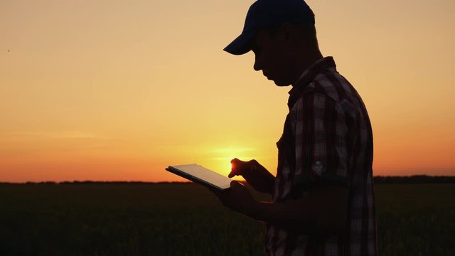 A male farmer is working in the field at sunset, enjoying a digital tablet. Technologies in agrobusiness
