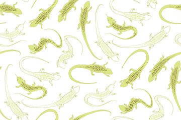 The green lizard. An ordinary steppe lizard with a pattern on its back. Reptiles, graphic.
