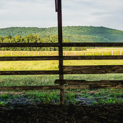 Boards and Fence in Front of a Golden Field