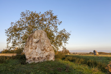 Standing Stones at Avebury