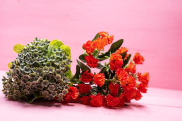 Group of colorful flower put on pink pastel timber board,blurry light design background