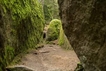 Huge rocks in the forest