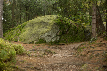 Huge rocks in the forest