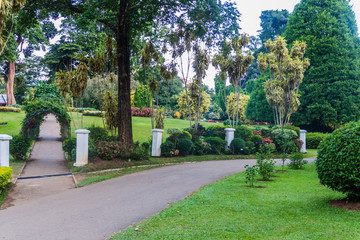 Paths in Peradeniya Royal Botanical Gardens near Kandy, Sri Lanka