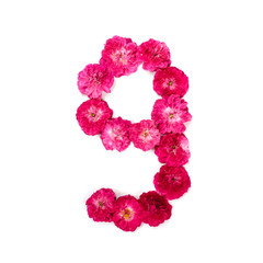 число 9 из цветов красной и розовой розы на белом фоне. Типографический элемент для дизайна. Цветочные числа, цифры, изолят, изолированный