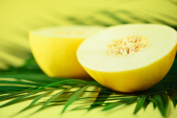 Sweet melon over tropical green palm leaves on yellow background. Copy space. Pop art design, creative summer concept. Raw vegan food.