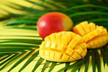 Exotic mango fruit over tropical green palm leaves on yellow background. Copy space. Pop art...