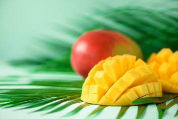 Exotic mango fruit over tropical green palm leaves on turquoise background. Copy space. Pop art...