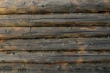 Wooden wall from logs of pine as a background texture.