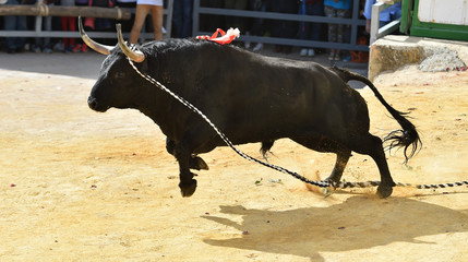 toro español