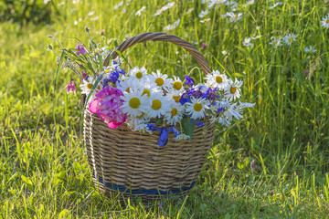 Vintage wicker basket with bunch of wild flowers on grass on sunlight